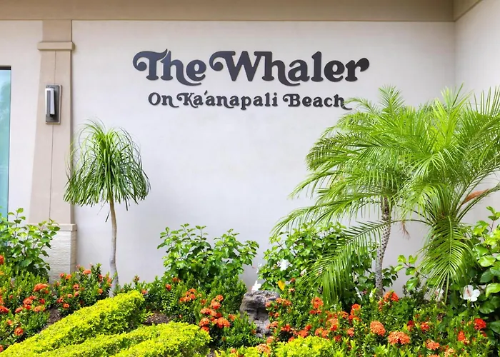 Whaler Ocean View Studio Kaanapali Beach Steps To Beach Complimentary Car With 6 Nights Wh1-1218 By Kbm